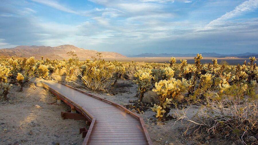 Journey into Joshua Tree: Audio Driving Tour and Local Guide - Hidden Valley Nature Trail and Barker Dam