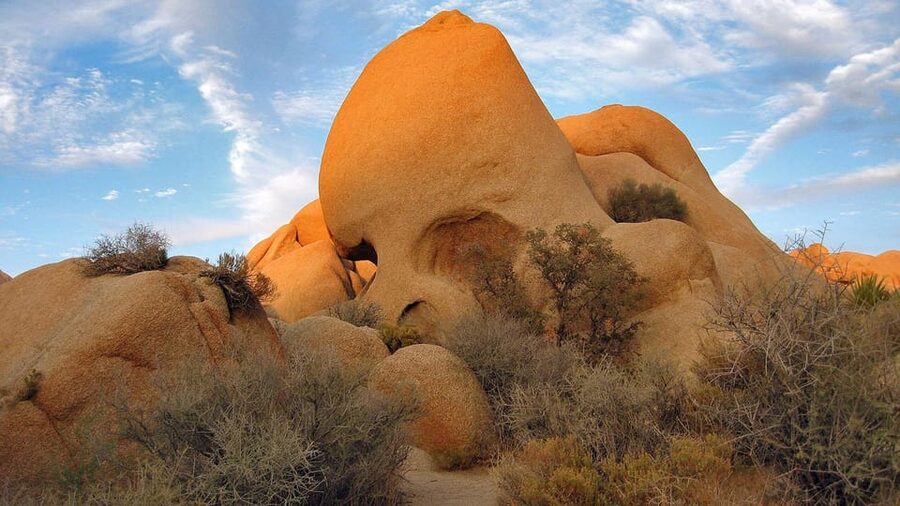 Journey into Joshua Tree: Audio Driving Tour and Local Guide - Cholla Cactus Garden and the return drive