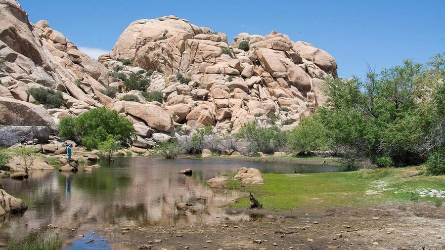 Journey into Joshua Tree: Audio Driving Tour and Local Guide - Choosing the right entrance and route