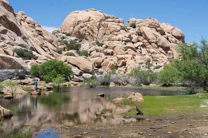 Journey into Joshua Tree On-Demand Audio Tour and Locals Guide - Key points at a glance