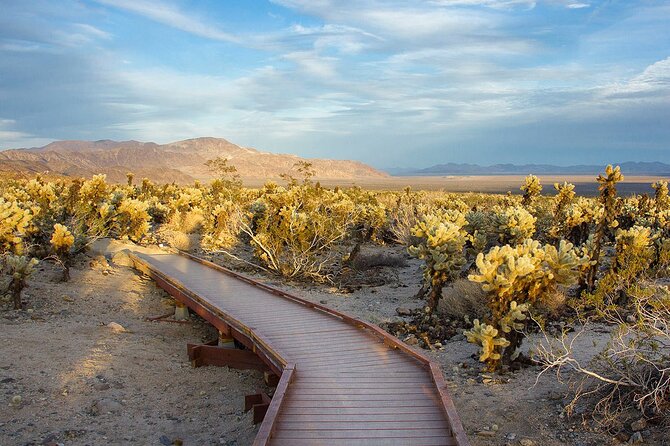 Journey into Joshua Tree On-Demand Audio Tour and Locals Guide - Barker Dam adds water, ranching, and rock art