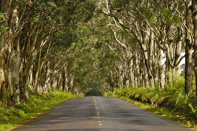 Kauai Poipu and Koloa Town Self-Guided Audio Tour - Makauwahi Cave and Kauai’s volcanic story