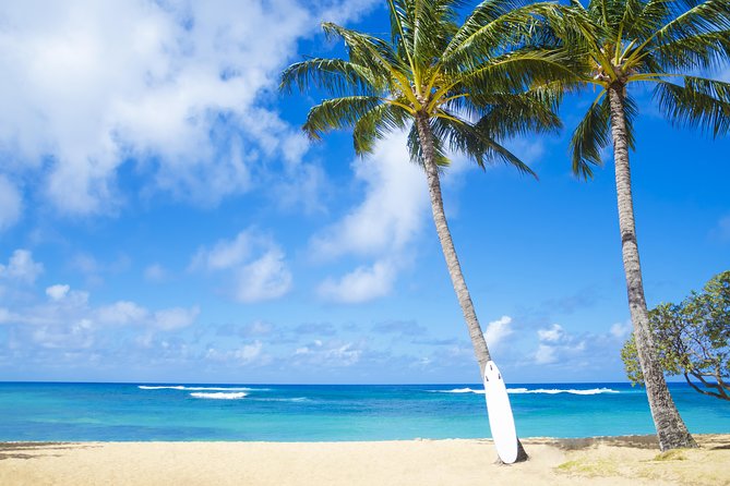 Kauai Wailua Valley & Waterfalls Audio Driving Tour - Lydgate Beach Park and the eastern coast