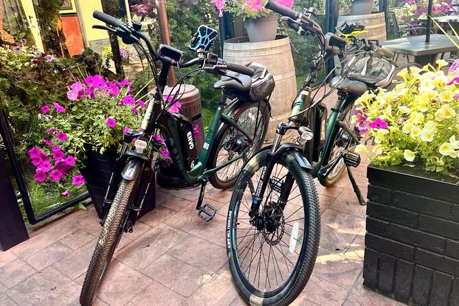 Kelowna E-Bike Bee Tour, Tastings, Organic Lunch & Audio Guide - A 20-Minute Audio Tour About Bees
