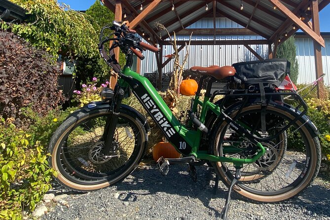Kelowna E-Bike Bee Tour, Tastings, Organic Lunch & Audio Guide - The Bistro Lunch and Farm-to-Table Value
