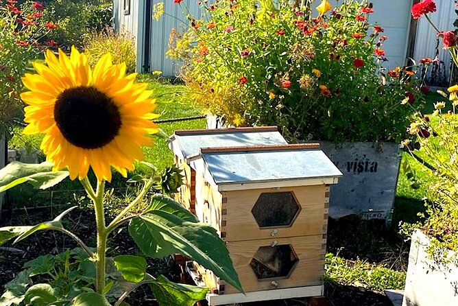 Kelowna E-Bike Bee Tour, Tastings, Organic Lunch & Audio Guide - Booking, Cancellation, and Practical Details