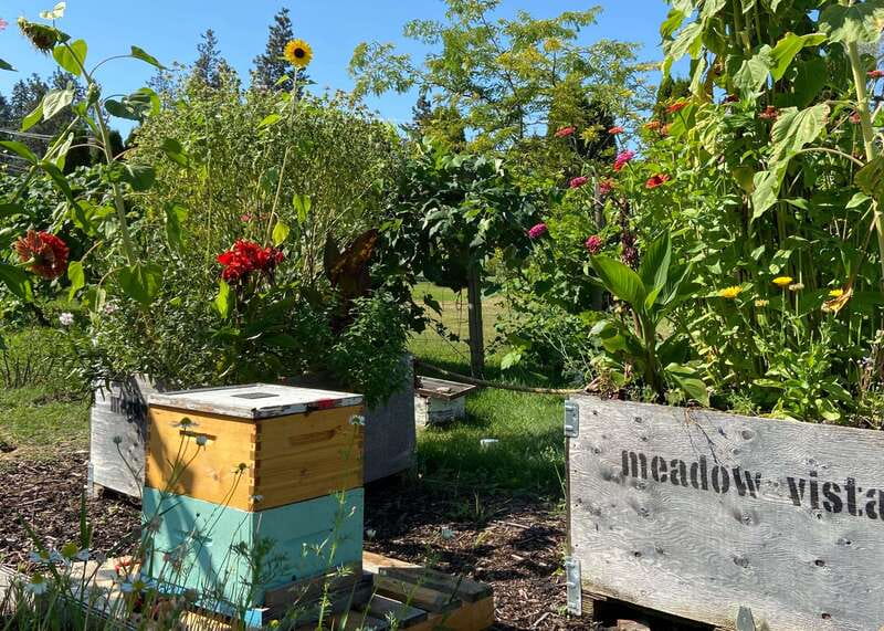 Kelowna: E-Bike Bee Tour w/ Tastings, Lunch, and Audioguide - The ride back to Lakeside Eco-Sports