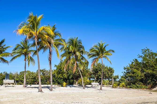 Key West and Overseas Highway Self-Guided Audio Tour - Bahia Honda to Key West: beaches, key deer, and the final city