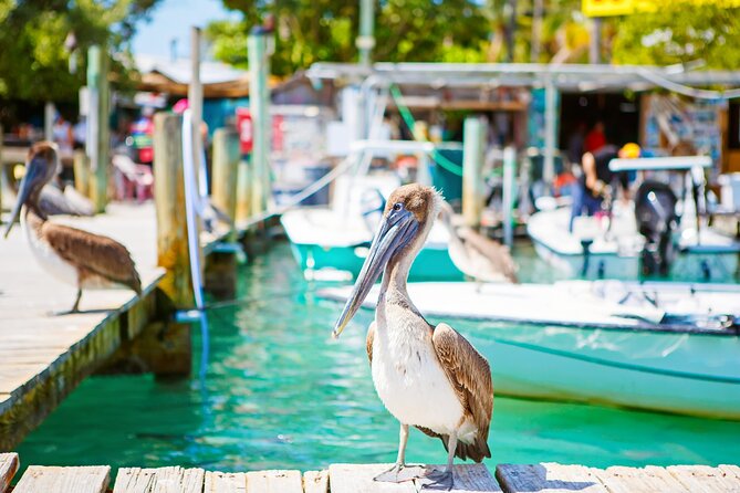 Key West and Overseas Highway Self-Guided Audio Tour - Who should book this audio tour?