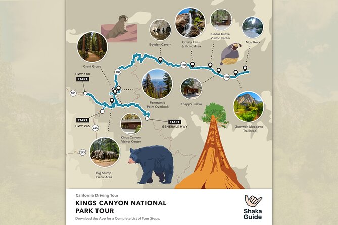 Kings Canyon National Park Self-Guided Audio Tour - Why this self-guided route works well