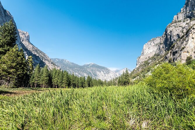 Kings Canyon National Park Self-Guided Audio Tour - Knapp’s Cabin, Roaring River Falls, and Zumwalt Meadow