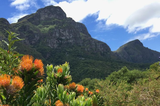 Kirstenbosch National Botanical Gardens: A Self-guided Audio Tour - The Garden of Extinction sets the tone