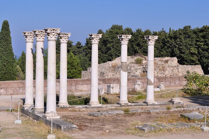 Kos Scavenger Hunt and Highlights Self Guided Audio Tour - The Statue and Tree of Hippocrates