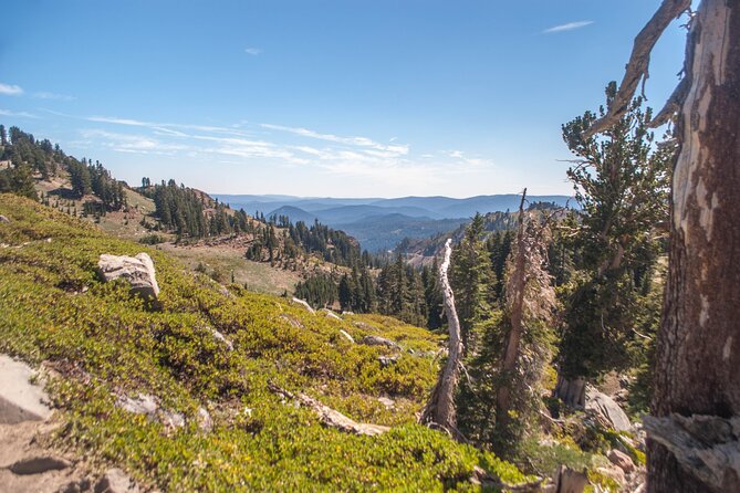 Lassen Volcanic National Park Self-Guided Audio Driving Tour - Diamond Peak delivers one of the best views