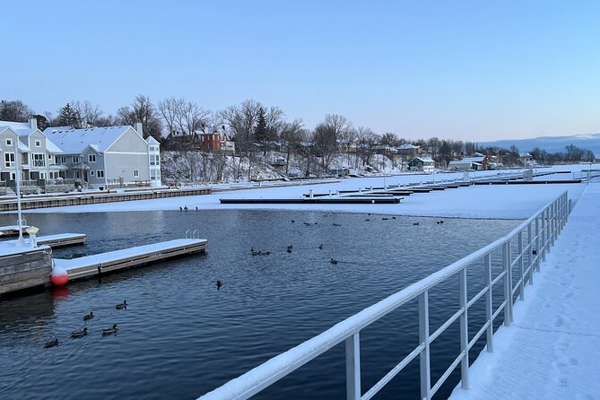 Layers of Natural History: Picton Nature Self-Guided Audio Tour - A quiet park with flooding and big fish