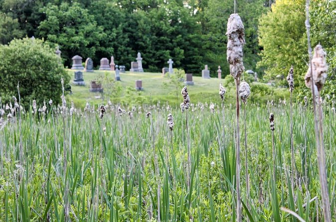Layers of Natural History: Picton Nature Self-Guided Audio Tour - What the $9.99 price really gets you