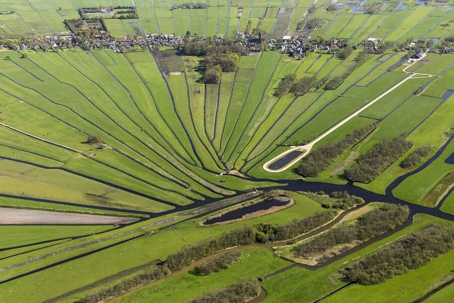 Lisse: Drive-it-Yourself Dutch Countryside GPS Audio Tour - The Biological Cheese Farm