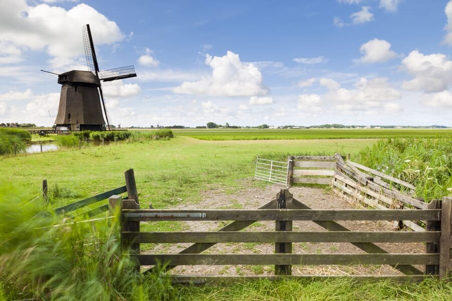 Lisse: Drive-it-Yourself Dutch Countryside GPS Audio Tour - What the Audio Guide Adds