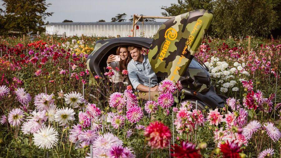 Lisse: Drive-it-Yourself Summer Flower GPS Audio Tour - The Flower Gardens and Dahlia Stops