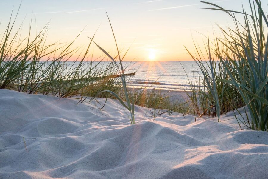 Lisse: Self-Drive Electric Car Dune and Beach Audio Tour - Starting in Lisse with a Renault Twizy