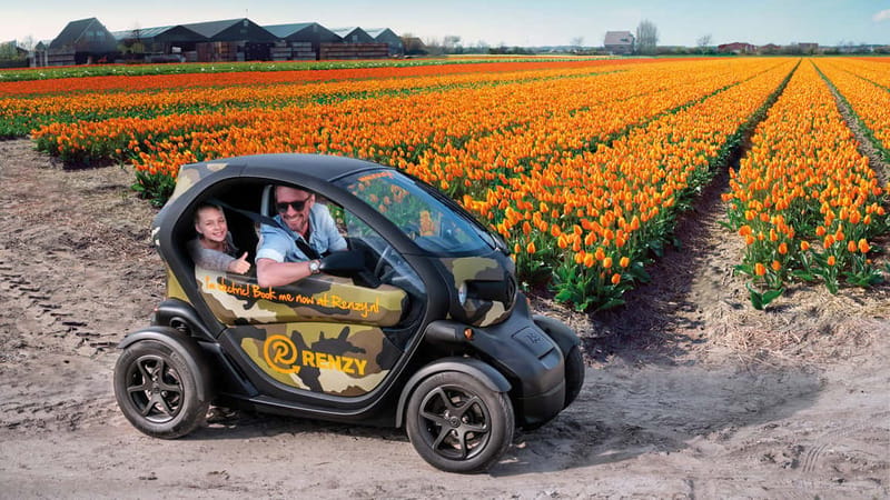 Lisse: Self-Guided Tulip Fields GPS Audio Tour - Following the GPS through the Flower Bulb Region