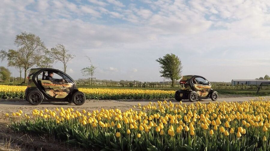 Lisse: Self-Guided Tulip Fields GPS Audio Tour - Practical tips for a smoother outing