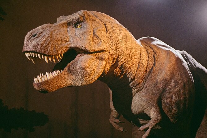 London: Natural History Museum Express Guided Tour & Audio Guide - A family-friendly format with room to split up