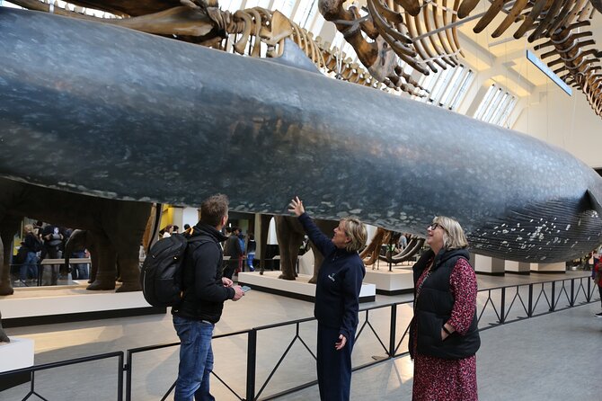 London: Natural History Museum Express Guided Tour & Audio Guide - The meeting point and voucher details can make or break the day
