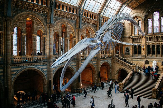 London: Natural History Museum Express Guided Tour & Audio Guide - Start with the building, not the dinosaurs
