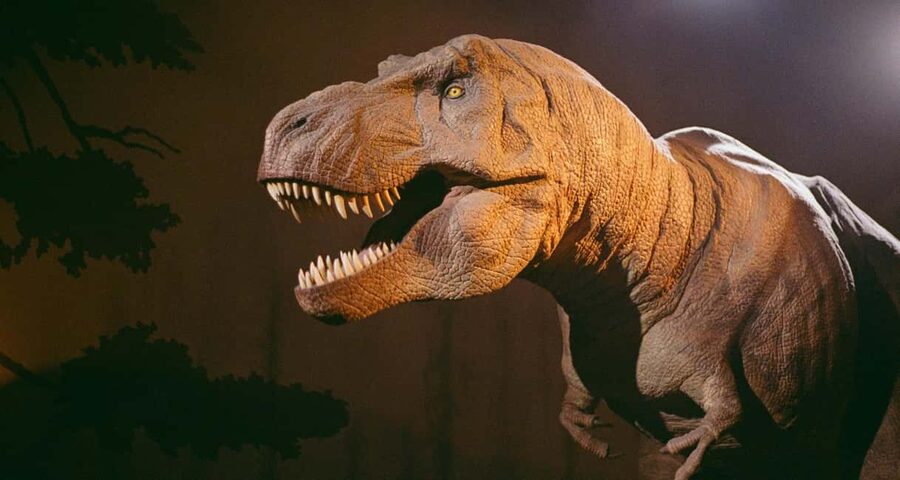 London: Natural History Museum Express Tour & Audio App - Dinosaurs, the T. rex, and the triceratops skull