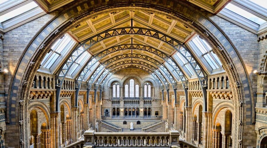 London: Natural History Museum Express Tour & Audio App - Is $10 a fair price for a free museum?