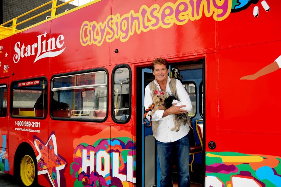 Los Angeles: Hop-On Hop-Off Bus Tour with Audio Guide - Purple Route: Downtown LA’s museums, markets, and concert halls