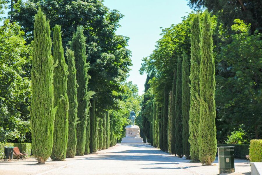 Madrid: El Retiro Park Self-Guided Audio Tour - The Crystal Palace and the most memorable finish