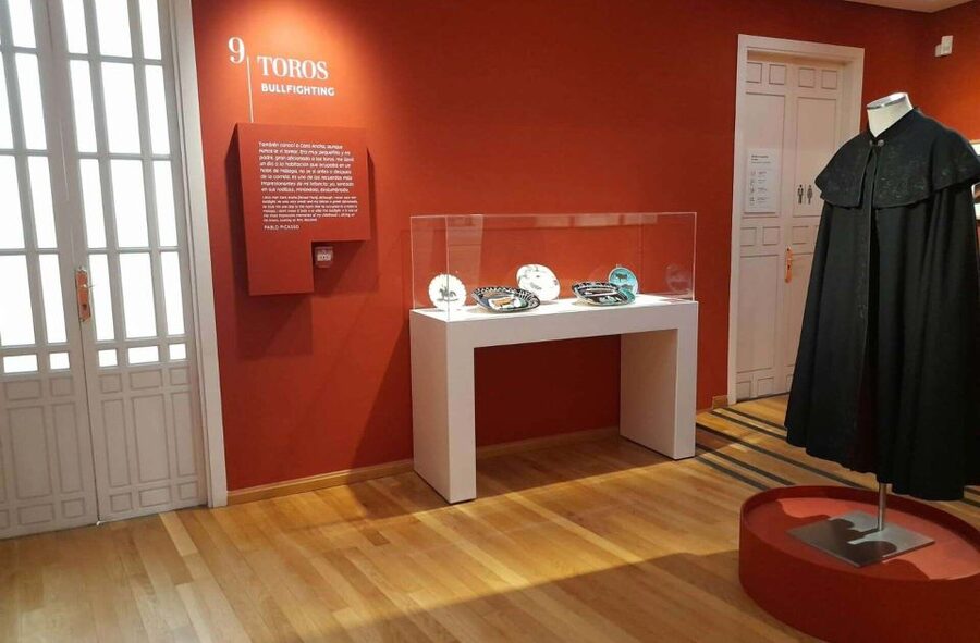 Málaga: Picasso Birthplace Museum Ticket & City Audio Guide - Is $11 good value?