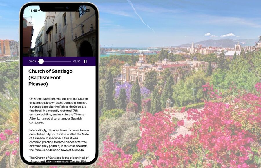 Málaga: Picasso Birthplace Museum Ticket & City Audio Guide - Inside the Casa Natal museum