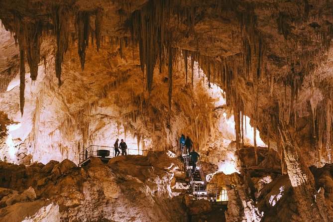 Mammoth Cave Self-guided Audio Tour (Located in Western Australia) - The one-hour route through Mammoth Cave