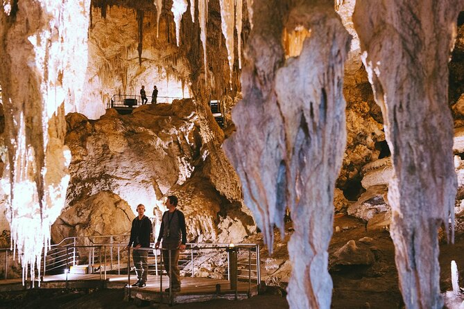 Mammoth Cave Self-guided Audio Tour (Located in Western Australia) - Who should book Mammoth Cave?