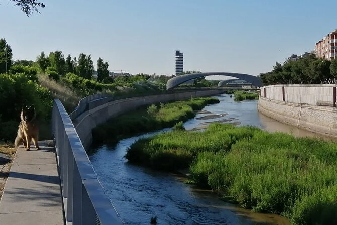 Manzanares River’s Story: A Self-Guided Audio Tour in Madrid - Matadero Madrid and the city’s working past