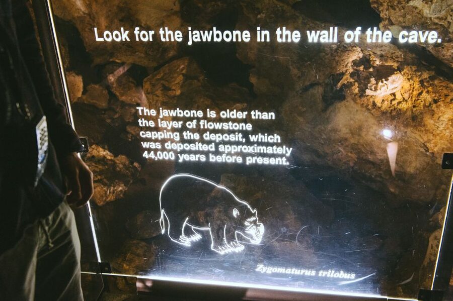 Margaret River: Self-Guided Audio Tour of Mammoth Cave - The fossil story, from accumulation to extinction