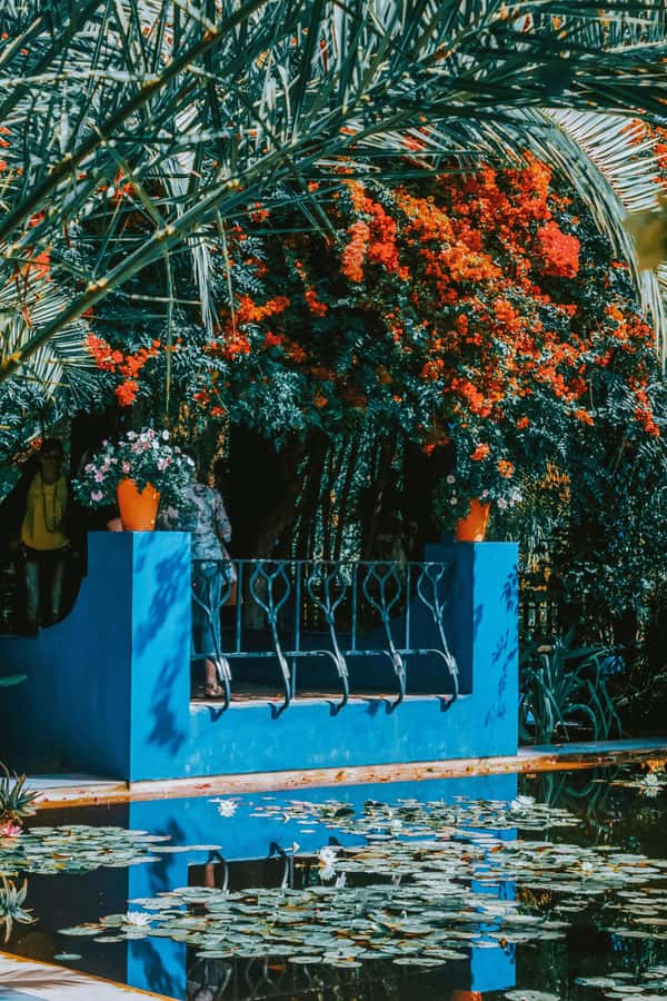 Marrakech: Majorelle Garden, Museums Tickets, & Audio Guide - Who will enjoy this visit most?