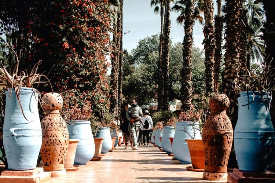 Marrakech: Majorelle Garden with a Digital Audio Guide App - What the one-hour visit is really like