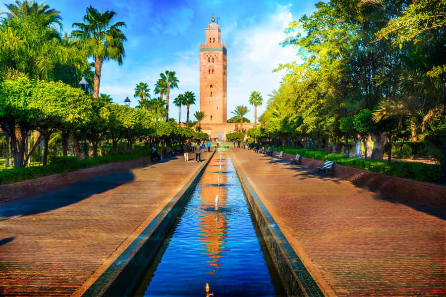 Marrakech: Self-Guided City Smartphone Audio Tour - Starting at Bab Ftouh, near the old walls