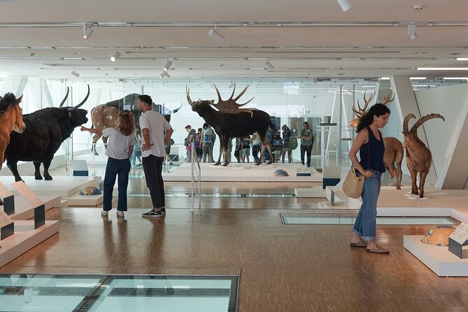 Marseille: Cosquer Cave Entry Ticket and Audio Guide - The visit takes place at J4 in Marseille