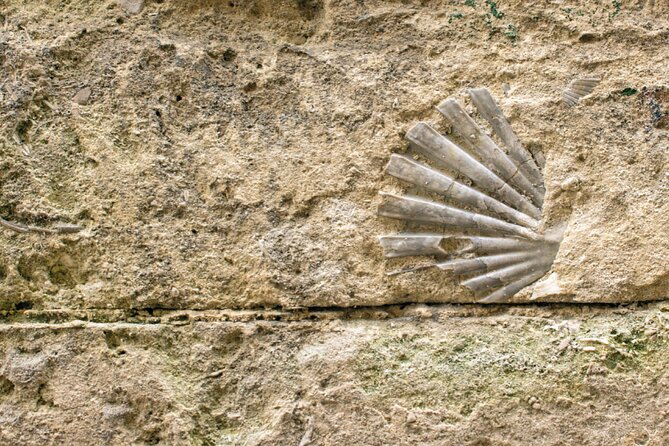 Matera Walking Tour with Audio and Written Guide by a Local - The Cathedral on Civita