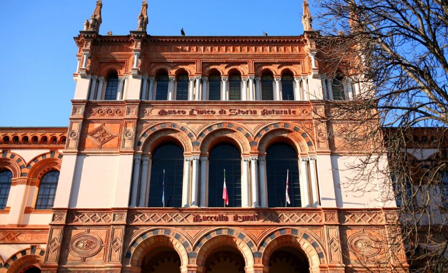 Milan: Natural History Museum Entry Ticket & Audio Guide - Following the 40-plus audio stops