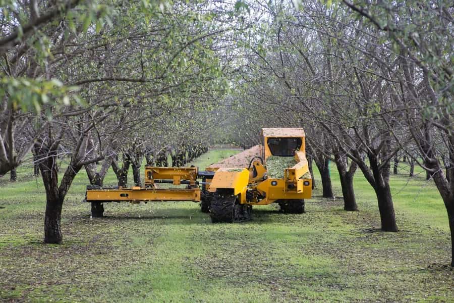 Modesto: Fruits and Roots Tour Driving Audio Guide Tour - Orchards, peaches, almonds, and working farmland