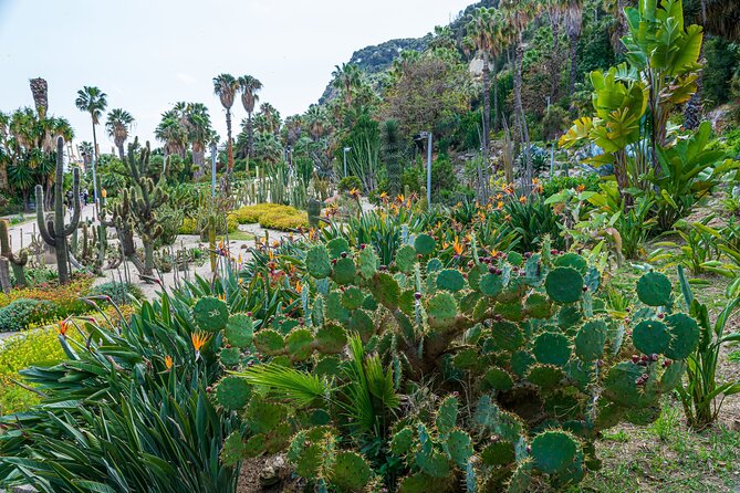 Montjuïc Cable Car Entry Voucher with Audio Tour on Your Phone - The Telefèric de Montjuïc ride