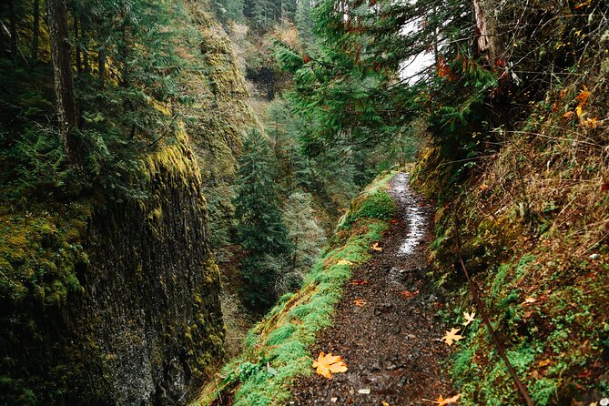 Mount Hood Loop Scenic Drive Self Guided Audio Tour - Multnomah Falls and the waterfall stretch