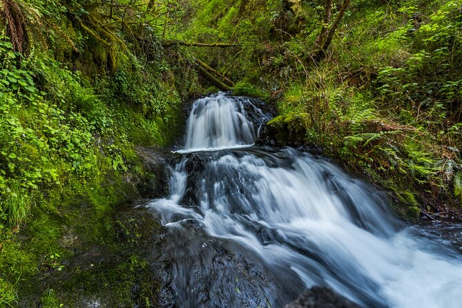 Mount Hood Loop Scenic Drive Self Guided Audio Tour - Angel’s Rest, Wahkeena Falls, and Horsetail Falls