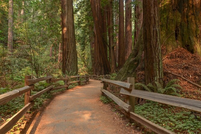 Muir Woods Self-Guided Driving and Walking Audio Tour - Finding the Archway and Visitor Center
